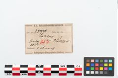 Etikett zu Bronzeknotenarmreif (NHMW-PRAE-025950)
